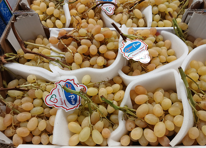 Uva senza semi Centennial- Puglia - 2,50/3,00 euro al chilogrammo